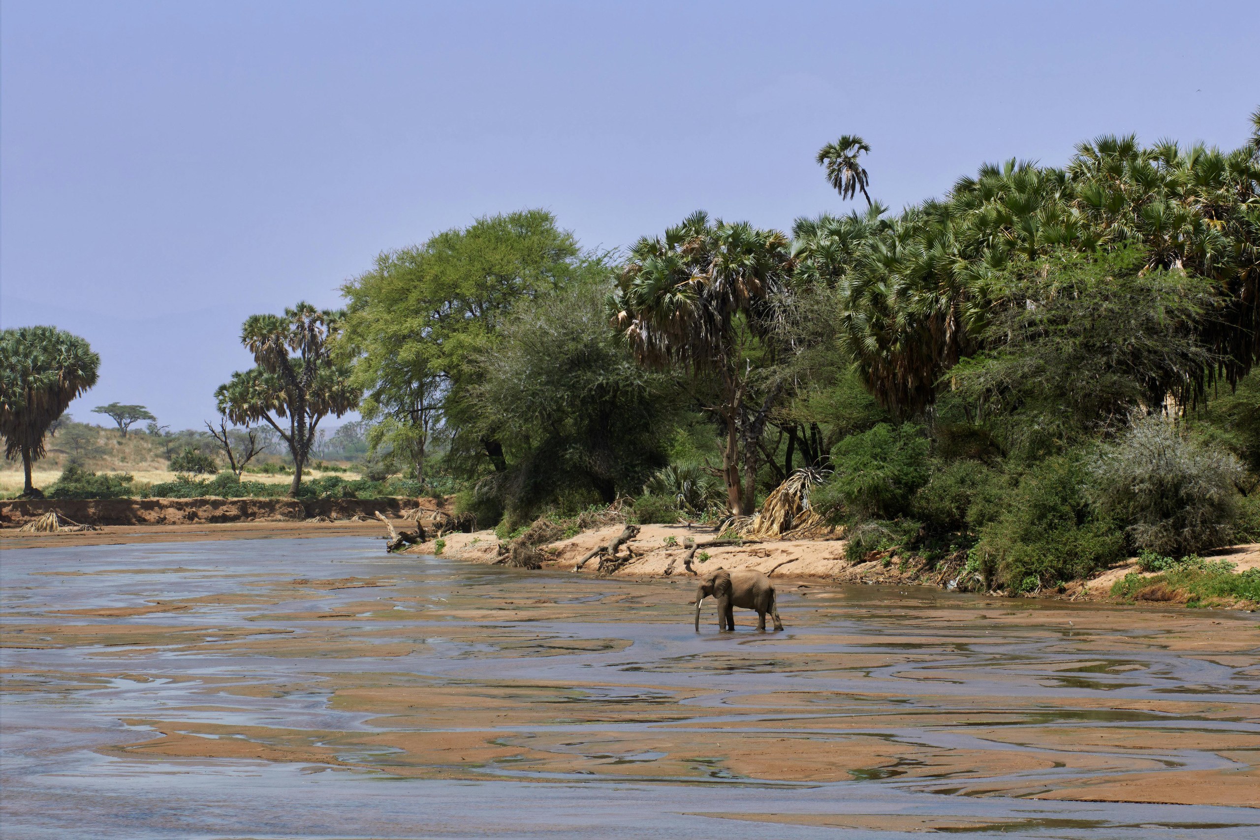 Galería de Samburu 4